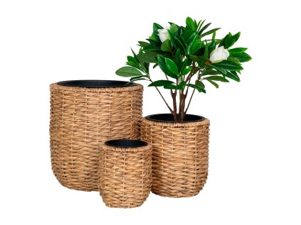 21267 1 21267 1 21267 1 21267 1 21267 1 kvetinac vodni hyacint priroda sada 3 ks hanoj