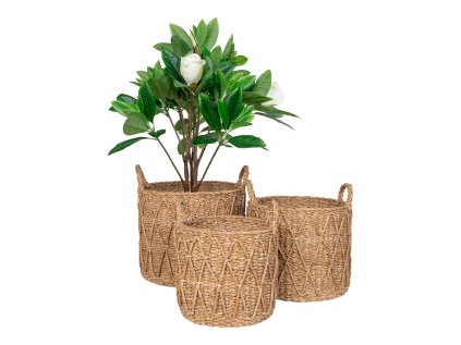 21402 1 21402 1 21402 1 21402 1 21402 1 set 3 kulatych kosu s uchy morska trava prirodni krabi