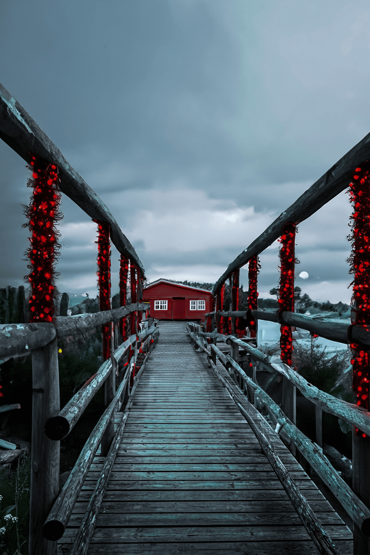 🇳🇴 Norské Vánoce...aneb. jak slaví Vánoce Norové?