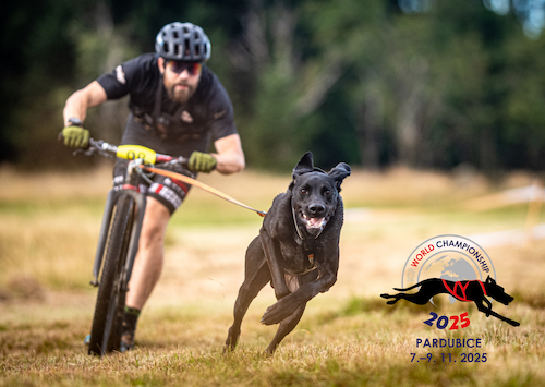 Budeme součástí Mistrovství světa v individuálním mushingu 2025 v Pardubicích