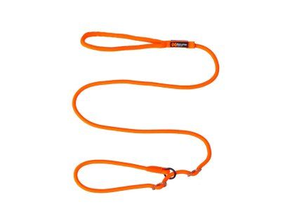 retriever leash 1