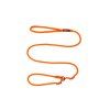 retriever leash 1