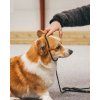 retriever leash feature 2