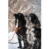 retriever leash setting 2