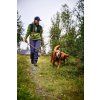 retriever leash setting 4