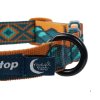 Obojek pro psy Non-stop Trail Quest Rachel Pohl - teal/oak