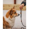 Stahovací vodítko Retriever leash black1