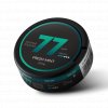 77 Fresh Mint Dark Nikotinove sacky