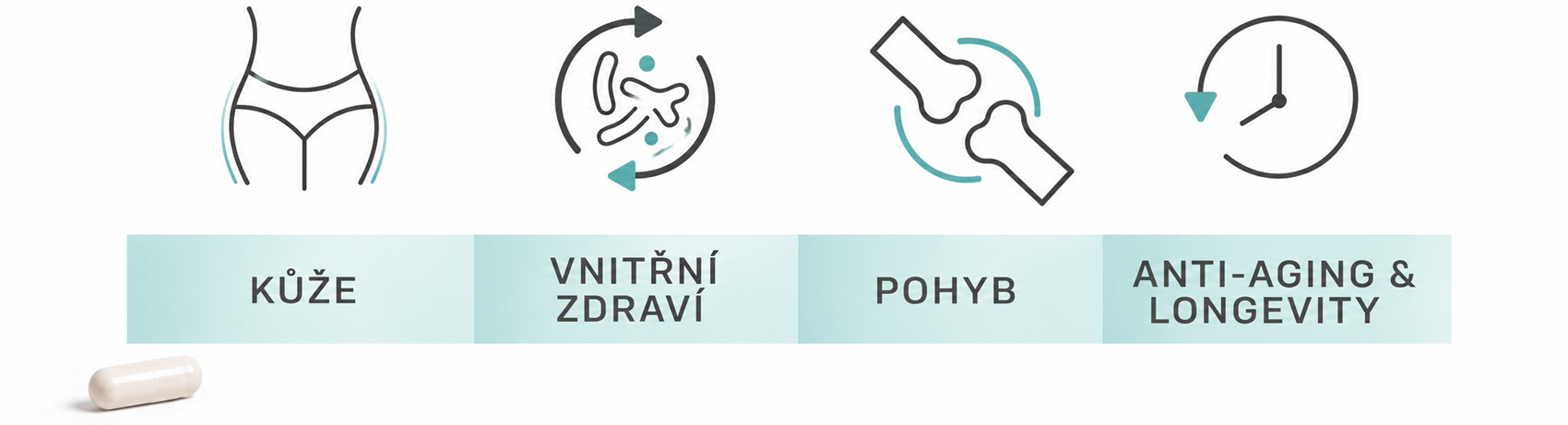 gelavis-pusobeni-na-telo