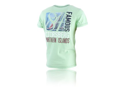 TS24111 lime back