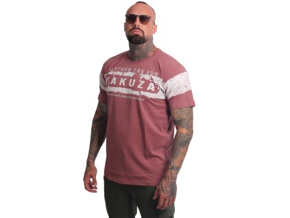 TSB26014nocturne amazon01