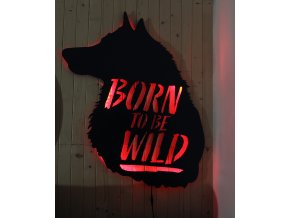 Born to be wild - dekoratívny obraz s podsvietením - veľkosť A1( cca 61 x 86cm)