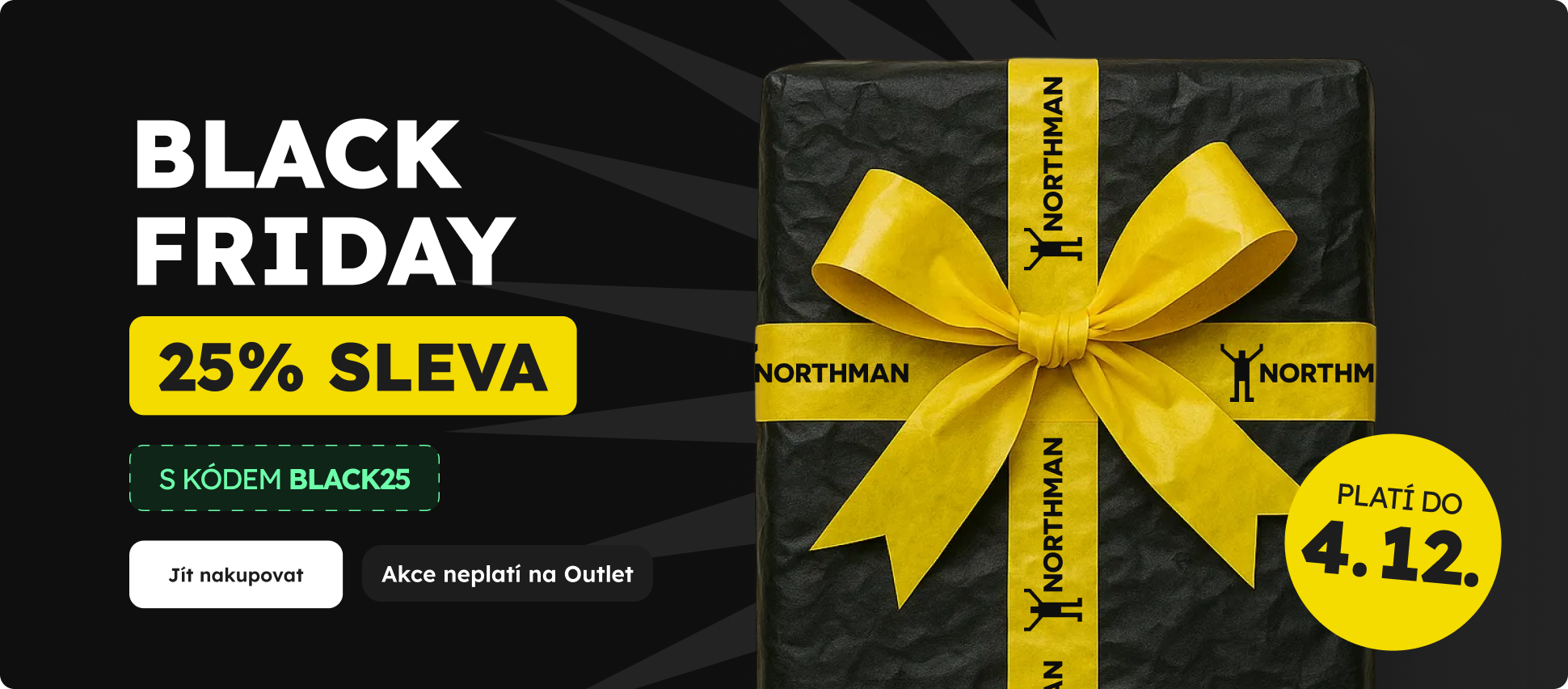 Black Friday 2025 - BLACK25