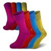 Dino Merino 4-pack