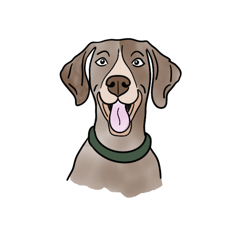 Testování naší smečkou