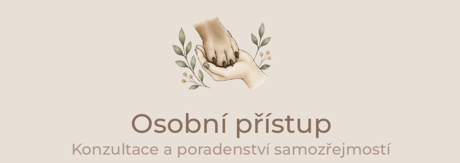 Osobní přístup
