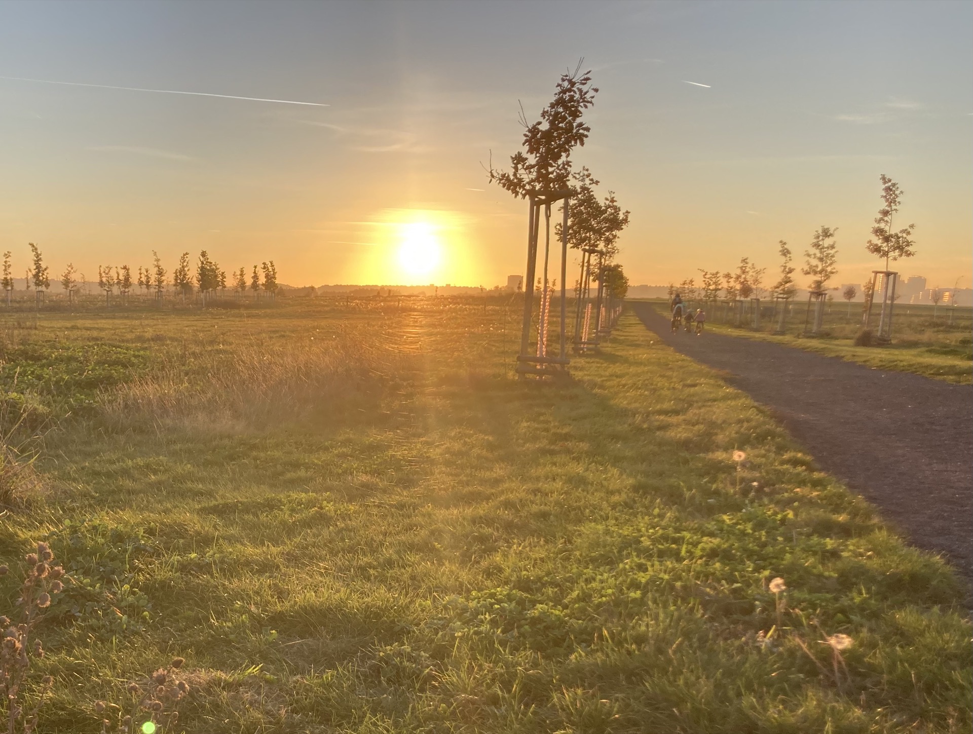 Zodpovědný prodejce. Na naší planetě nám záleží