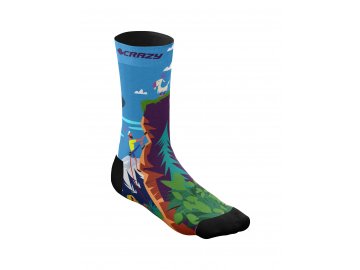 S23385005X 00 X128 CRAZY SOCKS VAN