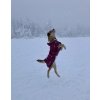 Nikita dog coat ruby red 1