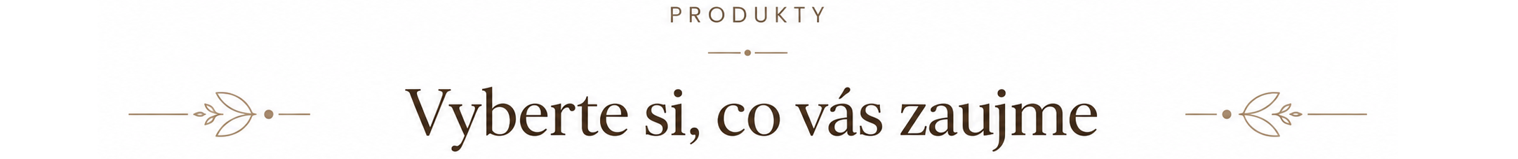 sekce-nadpis-produkty