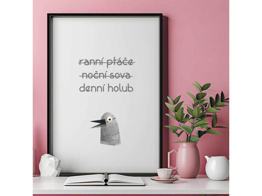 plakát denní holub v rámečku