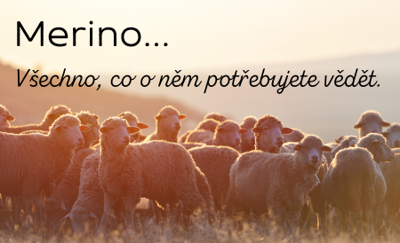 Merino