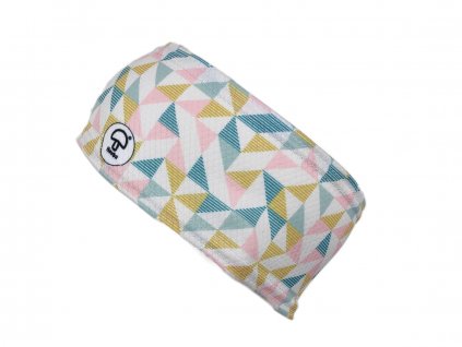 pink triangle (1)
