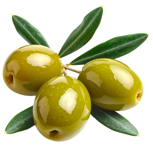 Olivový olej