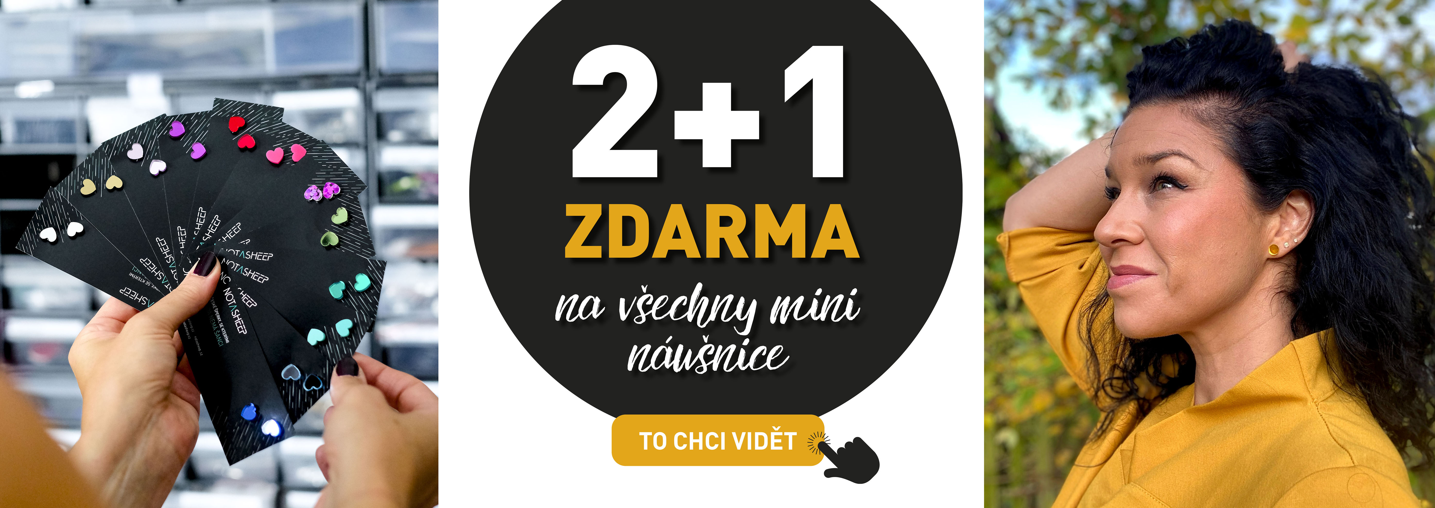 2+1 ZDARMA