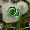 nasnice holograficke chameleon desig plexi notasheep pampeliska web