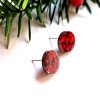 RED PASSION basic circle  náušnice červené třpytivé