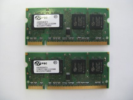 2x 512MB DDR2 667MHz