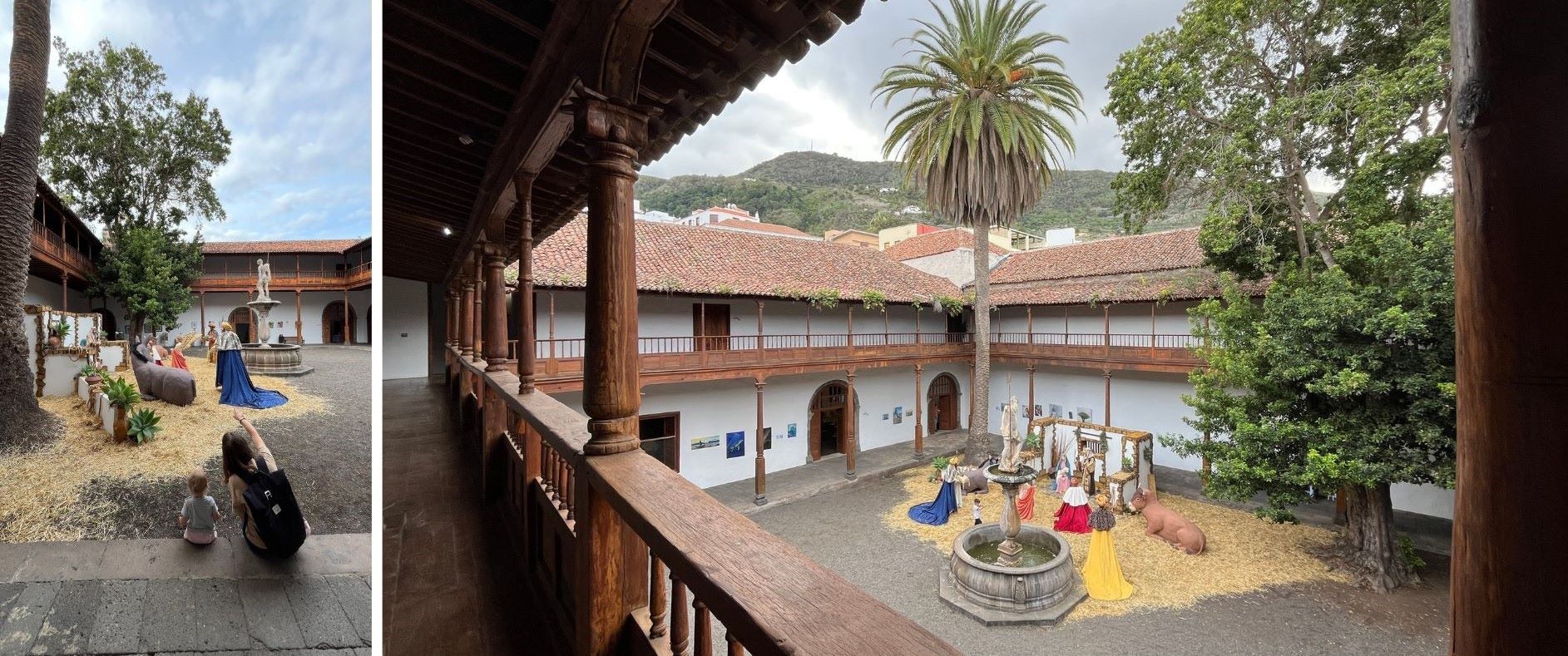 Tenerife_Icod_de_los_Vinos2