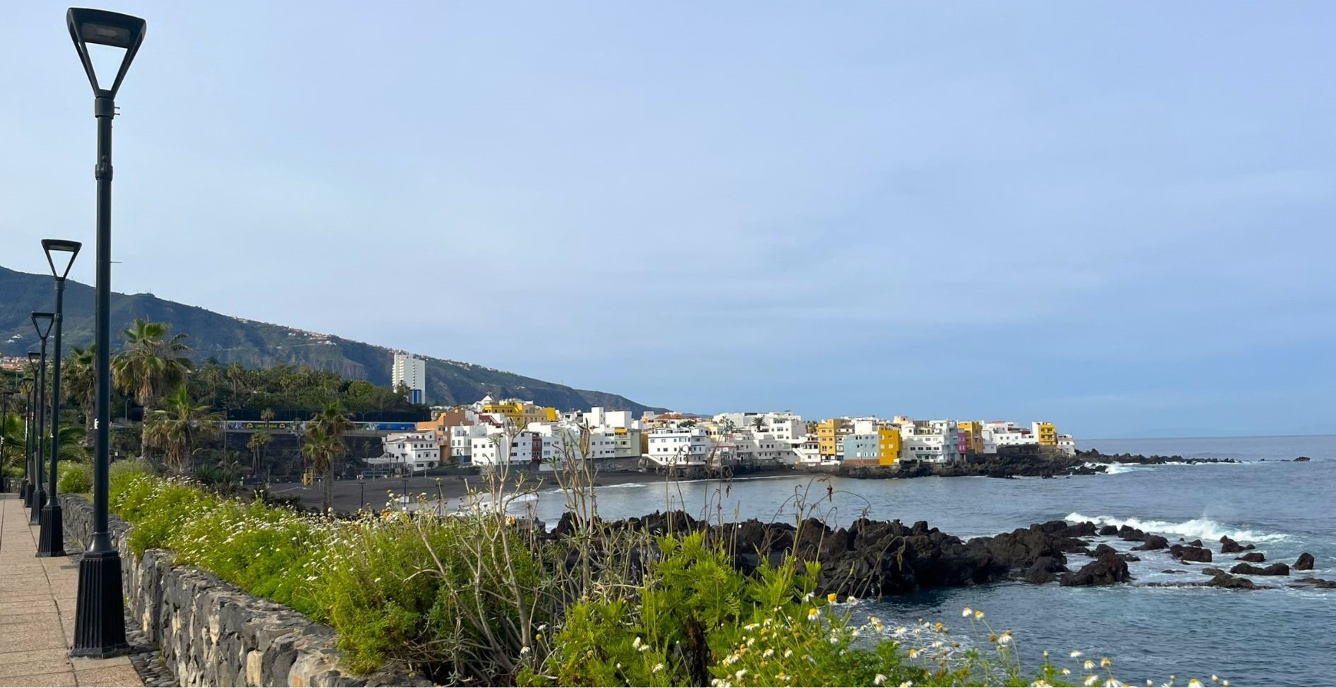 Tenerife_Jardin