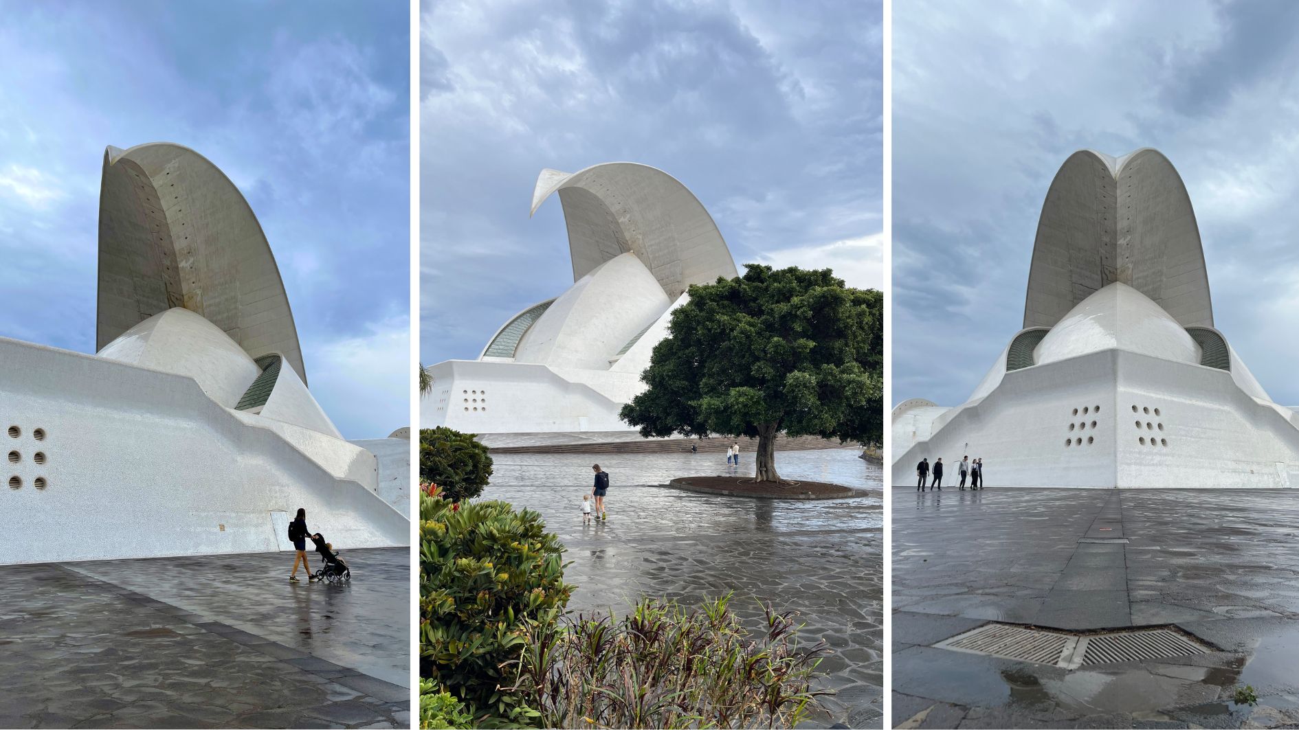 Tenerife_auditorium2