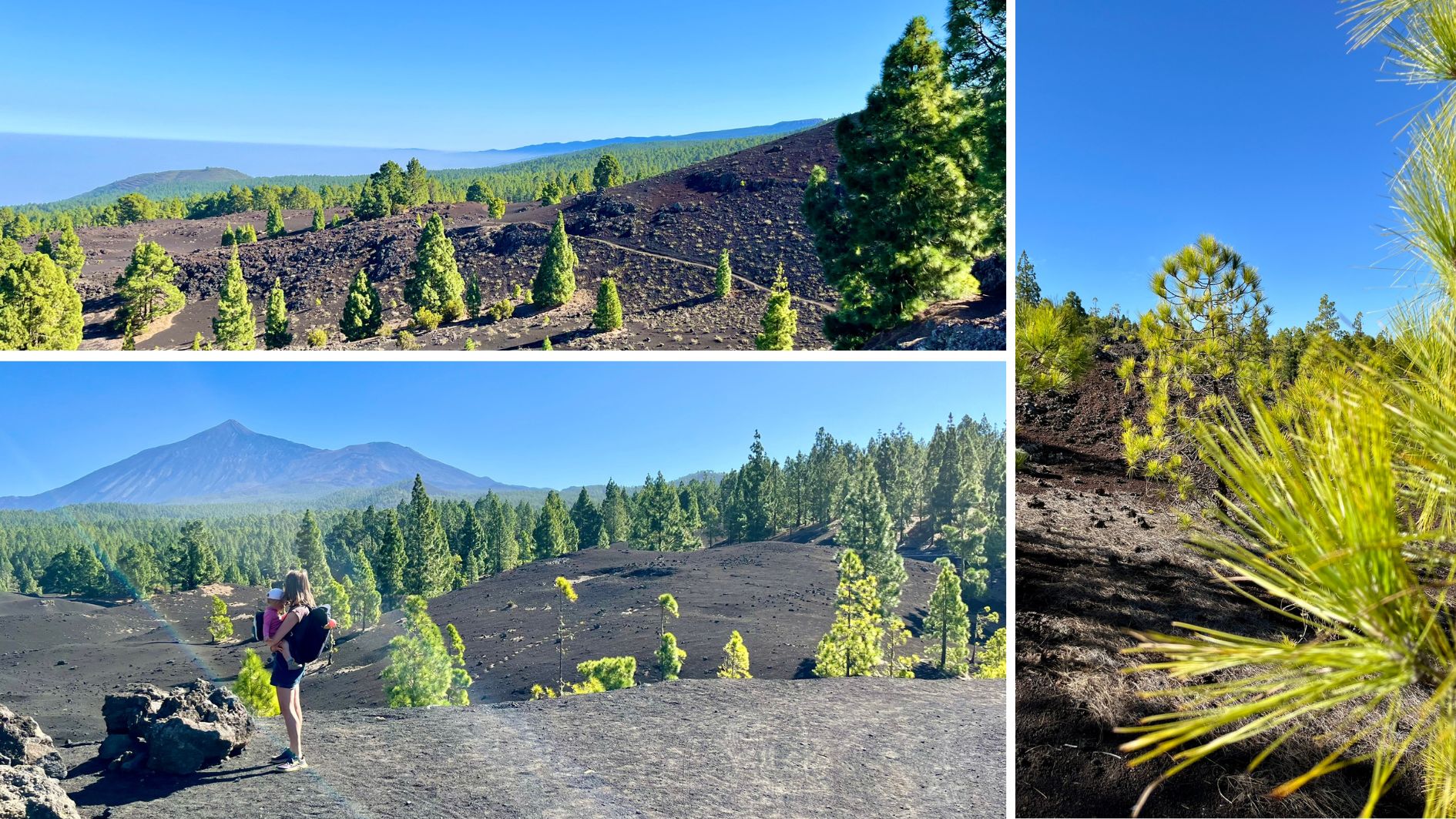 Tenerife_montana_negra2