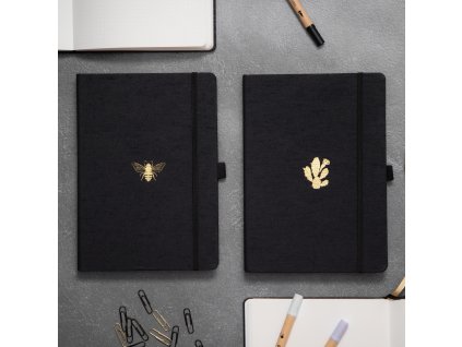DB Creative 2 Notes