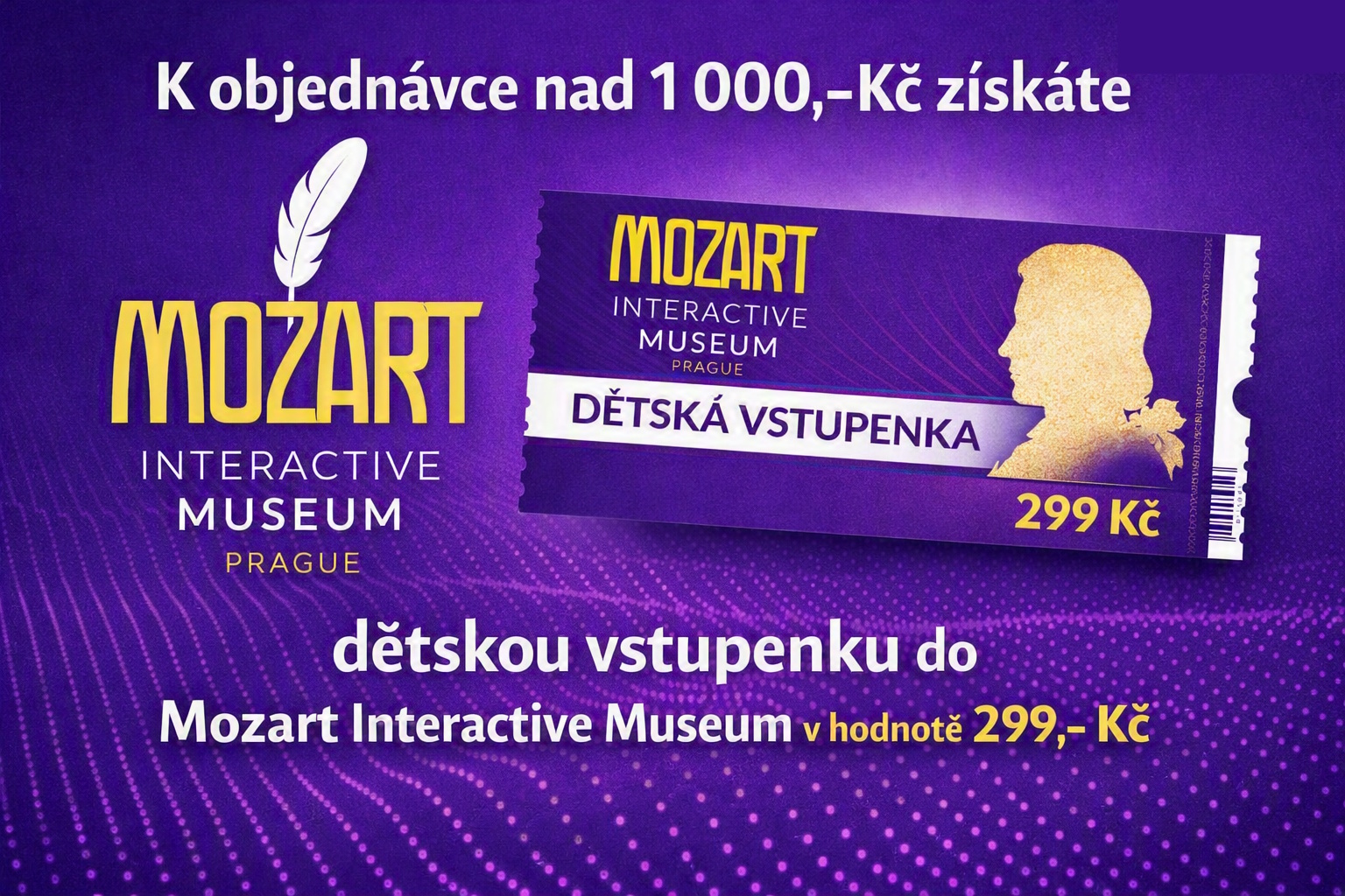 Vstupenka do muzea