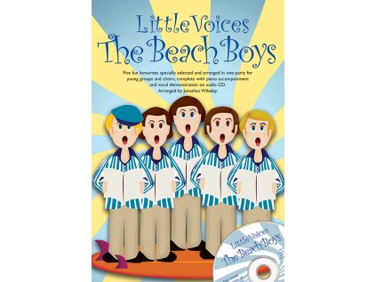 Little Voices - The Beach Boys + CD