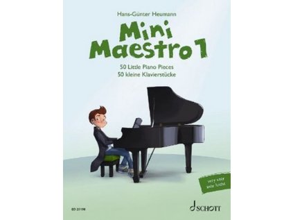 Mini Maestro 1