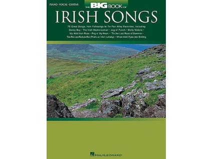 The Big Book Of Irish Songs