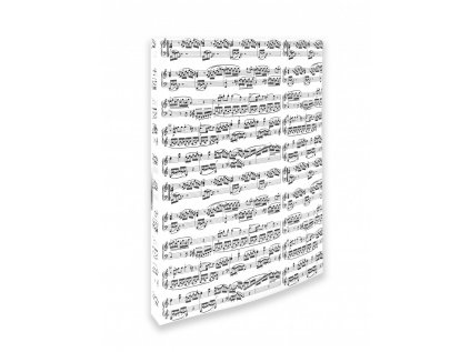ring binder notelines white a42 rings20 mm[1]