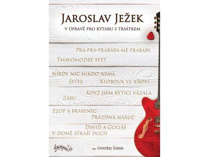 sarek jezek - kytara trsatko