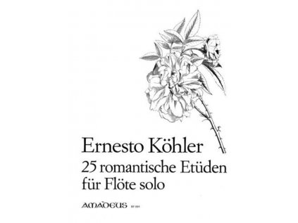25 romantische Etüden für Flöte solo op. 66