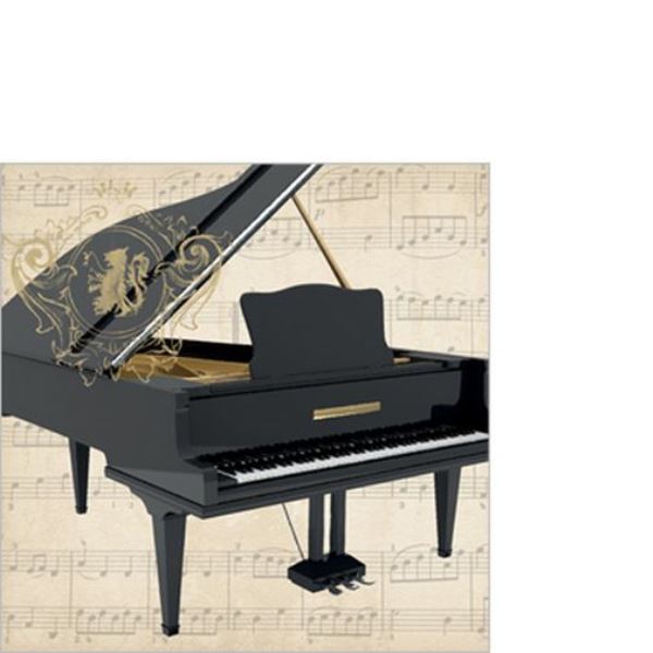 Papírové ubrousky - Concerto Piano (25x25)