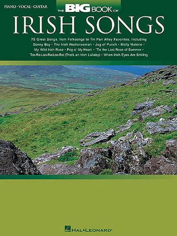 The Big Book Of Irish Songs