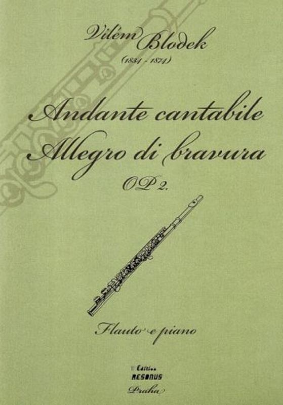 Andante cantabile, Allegro di bravura Op. 2