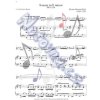 The Flute Collection - Intermediate to Advanced Level + 2 CD