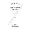 Due preludi e fughe per flauto solo