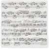 napkin noteline 3333 cm 3 ply 20 sheetspack